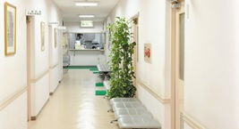 津田病院の施設写真